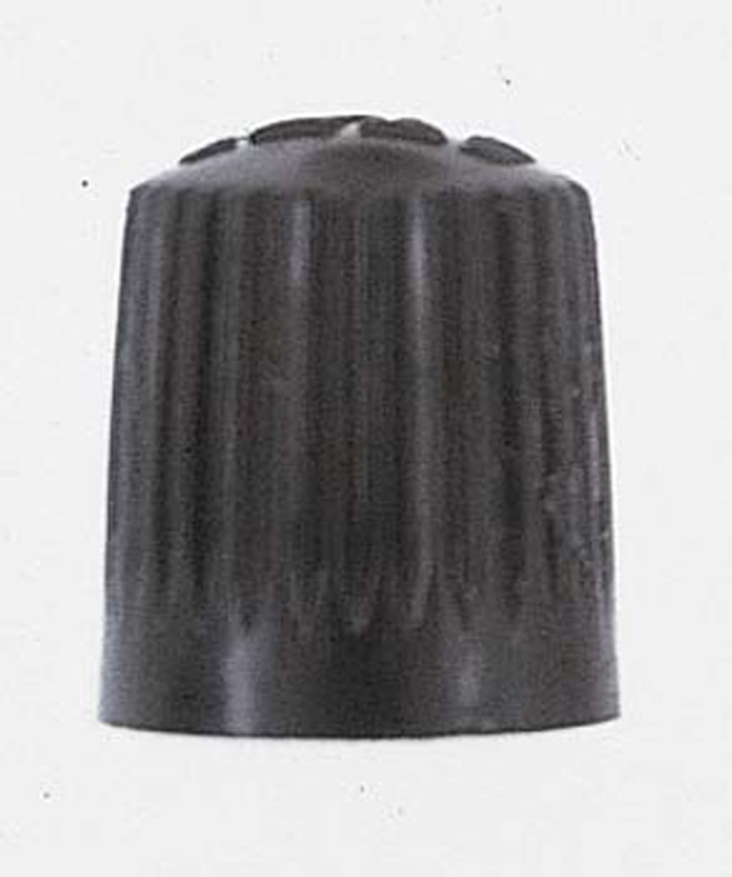 thumbnail interactive-video image 1 of Haltec 89TPMS-CAPG Plastic Chrome Nitrogen Caps – 100 Pack – For Tire Valves 1 of 6