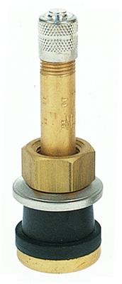 Straight Clamp-In Truck & Bus Valve 1 1/8"